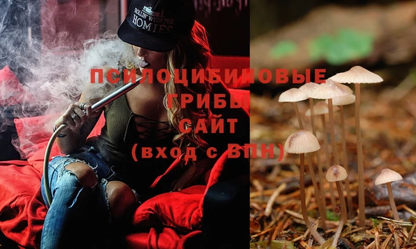 бошки Лихославль