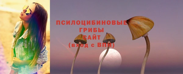 spice Лиски