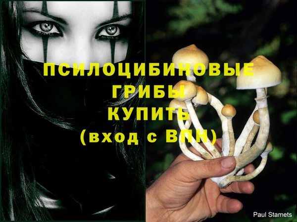 2c-b Липки