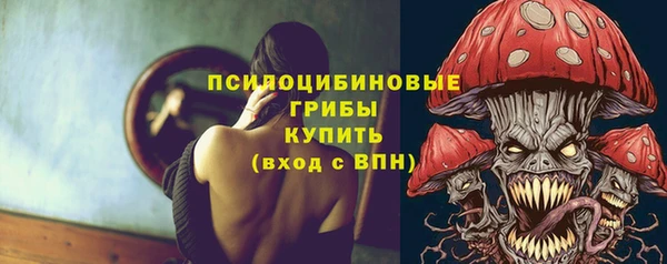 spice Лиски