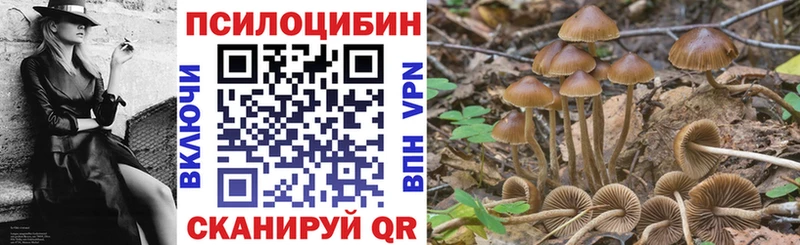 Псилоцибиновые грибы прущие грибы  Купить  Унеча 
